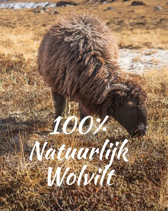 Tofvel Rabara Pantoffels Blauw Uni (TF2000-68) - Afbeelding 8